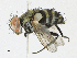  ( - CBG-A21594-C11)  @11 [ ] CreativeCommons - Attribution Share-Alike (2023) CBG Photography Group Centre for Biodiversity Genomics