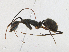  ( - CBG-A21594-D02)  @11 [ ] CreativeCommons - Attribution Share-Alike (2023) CBG Photography Group Centre for Biodiversity Genomics
