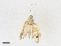  ( - CBG-A21596-F10)  @11 [ ] CreativeCommons - Attribution Share-Alike (2023) CBG Photography Group Centre for Biodiversity Genomics