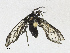  ( - CBG-A21597-F09)  @11 [ ] CreativeCommons - Attribution Share-Alike (2023) CBG Photography Group Centre for Biodiversity Genomics