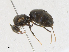  ( - CBG-A21599-D04)  @11 [ ] CreativeCommons - Attribution Share - Alike (2023) CBG Photography Group Centre for Biodiversity Genomics