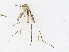  ( - CBG-A21599-H07)  @11 [ ] CreativeCommons - Attribution Share - Alike (2023) CBG Photography Group Centre for Biodiversity Genomics