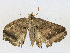  ( - CBG-A21600-C02)  @11 [ ] CreativeCommons - Attribution Share-Alike (2023) CBG Photography Group Centre for Biodiversity Genomics