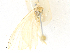  ( - CBG-A21600-C11)  @11 [ ] CreativeCommons - Attribution Share-Alike (2023) CBG Photography Group Centre for Biodiversity Genomics