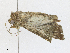  ( - CBG-A21665-A03)  @11 [ ] CreativeCommons - Attribution Share - Alike (2023) CBG Photography Group Centre for Biodiversity Genomics