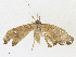  ( - CBG-A21665-C11)  @11 [ ] CreativeCommons - Attribution Share - Alike (2023) CBG Photography Group Centre for Biodiversity Genomics