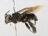 ( - CBG-A21666-E12)  @11 [ ] CreativeCommons - Attribution Share - Alike (2023) CBG Photography Group Centre for Biodiversity Genomics