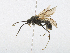  ( - CBG-A21666-H07)  @11 [ ] CreativeCommons - Attribution Share - Alike (2023) CBG Photography Group Centre for Biodiversity Genomics