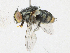  ( - CBG-A21667-G10)  @11 [ ] CreativeCommons - Attribution Share-Alike (2023) CBG Photography Group Centre for Biodiversity Genomics