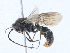  ( - CBG-A21667-H11)  @11 [ ] CreativeCommons - Attribution Share-Alike (2023) CBG Photography Group Centre for Biodiversity Genomics