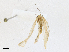  ( - CBG-A21753-A03)  @11 [ ] CreativeCommons - Attribution Share-Alike (2023) CBG Photography Group Centre for Biodiversity Genomics