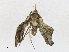  ( - CBG-A21753-B04)  @11 [ ] CreativeCommons - Attribution Share-Alike (2023) CBG Photography Group Centre for Biodiversity Genomics