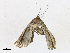  ( - CBG-A21754-B05)  @11 [ ] CreativeCommons - Attribution Share-Alike (2023) CBG Photography Group Centre for Biodiversity Genomics