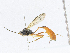  ( - CBG-A21754-H04)  @11 [ ] CreativeCommons - Attribution Share-Alike (2023) CBG Photography Group Centre for Biodiversity Genomics