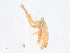  ( - CBG-A21754-H06)  @11 [ ] CreativeCommons - Attribution Share-Alike (2023) CBG Photography Group Centre for Biodiversity Genomics