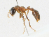  ( - CBG-A21755-E09)  @11 [ ] CreativeCommons - Attribution Share-Alike (2023) CBG Photography Group Centre for Biodiversity Genomics