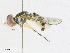  ( - CBG-A23403-A06)  @11 [ ] CreativeCommons - Attribution Share - Alike (2023) CBG Photography Group Centre for Biodiversity Genomics