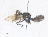  ( - CBG-A24215-H05)  @11 [ ] CreativeCommons - Attribution Share - Alike (2023) CBG Photography Group Centre for Biodiversity Genomics