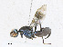  ( - CBG-A24215-H06)  @11 [ ] CreativeCommons - Attribution Share - Alike (2023) CBG Photography Group Centre for Biodiversity Genomics