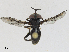  ( - CBG-A23434-D04)  @11 [ ] CreativeCommons - Attribution Share - Alike (2024) CBG Photography Group Centre for Biodiversity Genomics