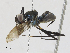  ( - CBG-A27518-C07)  @11 [ ] CreativeCommons - Attribution Share - Alike (2024) CBG Photography Group Centre for Biodiversity Genomics