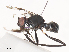  ( - CBG-A41855-B03)  @11 [ ] CreativeCommons - Attribution Share - Alike (2024) CBG Photography Group Centre for Biodiversity Genomics