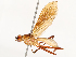  ( - CBG-A62884-A10)  @11 [ ] CreativeCommons - Attribution Share - Alike (2025) CBG Photography Group Centre for Biodiversity Genomics