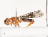  ( - CBG-A45199-A07)  @11 [ ] CreativeCommons - Attribution Share-Alike (2024) CBG Photography Group Centre for Biodiversity Genomics