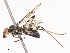  ( - CBG-A48547-H02)  @11 [ ] CreativeCommons - Attribution Share - Alike (2024) CBG Photography Group Centre for Biodiversity Genomics