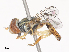  ( - CBG-A48548-H01)  @11 [ ] CreativeCommons - Attribution Share - Alike (2024) CBG Photography Group Centre for Biodiversity Genomics