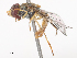  ( - CBG-A48610-B03)  @11 [ ] CreativeCommons - Attribution Share - Alike (2024) CBG Photography Group Centre for Biodiversity Genomics