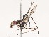  ( - CBG-A48516-A06)  @11 [ ] CreativeCommons - Attribution Share - Alike (2024) CBG Photography Group Centre for Biodiversity Genomics
