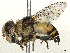  ( - CBG-A48517-B01)  @11 [ ] CreativeCommons - Attribution Share - Alike (2025) CBG Photography Group Centre for Biodiversity Genomics