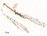  ( - CBG-A48613-H07)  @11 [ ] CreativeCommons - Attribution Share - Alike (2024) CBG Photography Group Centre for Biodiversity Genomics
