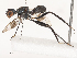  ( - CBG-A51055-H10)  @11 [ ] CreativeCommons - Attribution Share - Alike (2024) CBG Photography Group Centre for Biodiversity Genomics