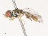  ( - CBG-A51057-A06)  @11 [ ] CreativeCommons - Attribution Share - Alike (2024) CBG Photography Group Centre for Biodiversity Genomics