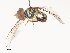  ( - CBG-A51059-D11)  @11 [ ] CreativeCommons - Attribution Share - Alike (2024) CBG Photography Group Centre for Biodiversity Genomics