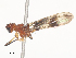  ( - CBG-A51075-D11)  @11 [ ] CreativeCommons - Attribution Share - Alike (2024) CBG Photography Group Centre for Biodiversity Genomics