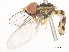  ( - CBG-A51884-F07)  @11 [ ] CreativeCommons - Attribution Share - Alike (2024) CBG Photography Group Centre for Biodiversity Genomics