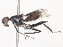 ( - CBG-A51891-A05)  @11 [ ] CreativeCommons - Attribution Share - Alike (2024) CBG Photography Group Centre for Biodiversity Genomics