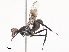  ( - CBG-A51891-B02)  @11 [ ] CreativeCommons - Attribution Share - Alike (2024) CBG Photography Group Centre for Biodiversity Genomics