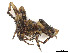  ( - CBG-A58640-H10)  @11 [ ] CreativeCommons - Attribution (2024) CBG Photography Group Centre for Biodiversity Genomics