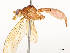  ( - CBG-A59504-C09)  @11 [ ] CreativeCommons - Attribution Share - Alike (2025) CBG Photography Group Centre for Biodiversity Genomics