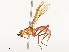  ( - CBG-A59508-A08)  @11 [ ] CreativeCommons - Attribution Share - Alike (2025) CBG Photography Group Centre for Biodiversity Genomics