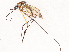  ( - CBG-B22922-H09)  @11 [ ] CreativeCommons - Attribution Share - Alike (2025) CBG Photography Group Centre for Biodiversity Genomics