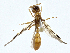  ( - CBG-A00276-C07)  @13 [ ] CreativeCommons - Attribution (2023) CBG Photography Group Centre for Biodiversity Genomics