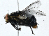  ( - CBG-A00336-B05)  @11 [ ] CreativeCommons - Attribution (2023) CBG Photography Group Centre for Biodiversity Genomics