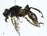  ( - CBG-A00378-B05)  @11 [ ] CreativeCommons - Attribution (2023) CBG Photography Group Centre for Biodiversity Genomics
