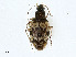  ( - CBG-A00380-C09)  @11 [ ] CreativeCommons - Attribution (2023) CBG Photography Group Centre for Biodiversity Genomics