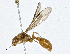  ( - CBG-A00385-G05)  @13 [ ] CreativeCommons - Attribution (2023) CBG Photography Group Centre for Biodiversity Genomics